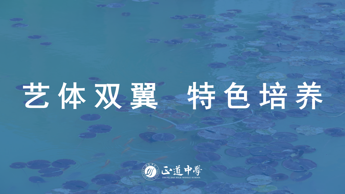 藝術、體育成績