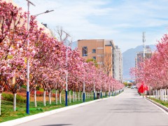 花園學校